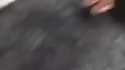 Berk&funda fucking turk porno ifşa